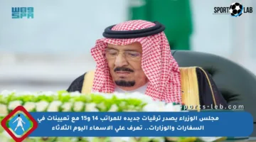 مجلس الوزراء يصدر ترقيات جديدة للمراتب 14 و15 مع تعيينات في السفارات والوزارات.. تعرف على الأسماء اليوم الثلاثاء